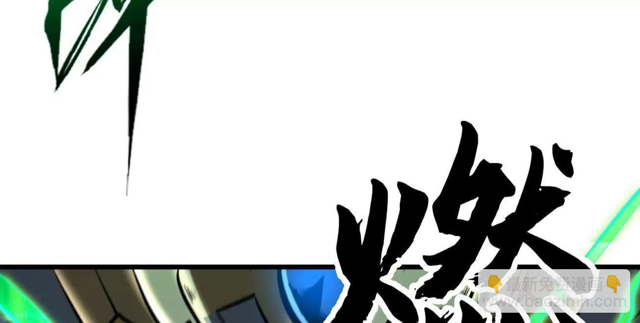 332 宠物丹105
