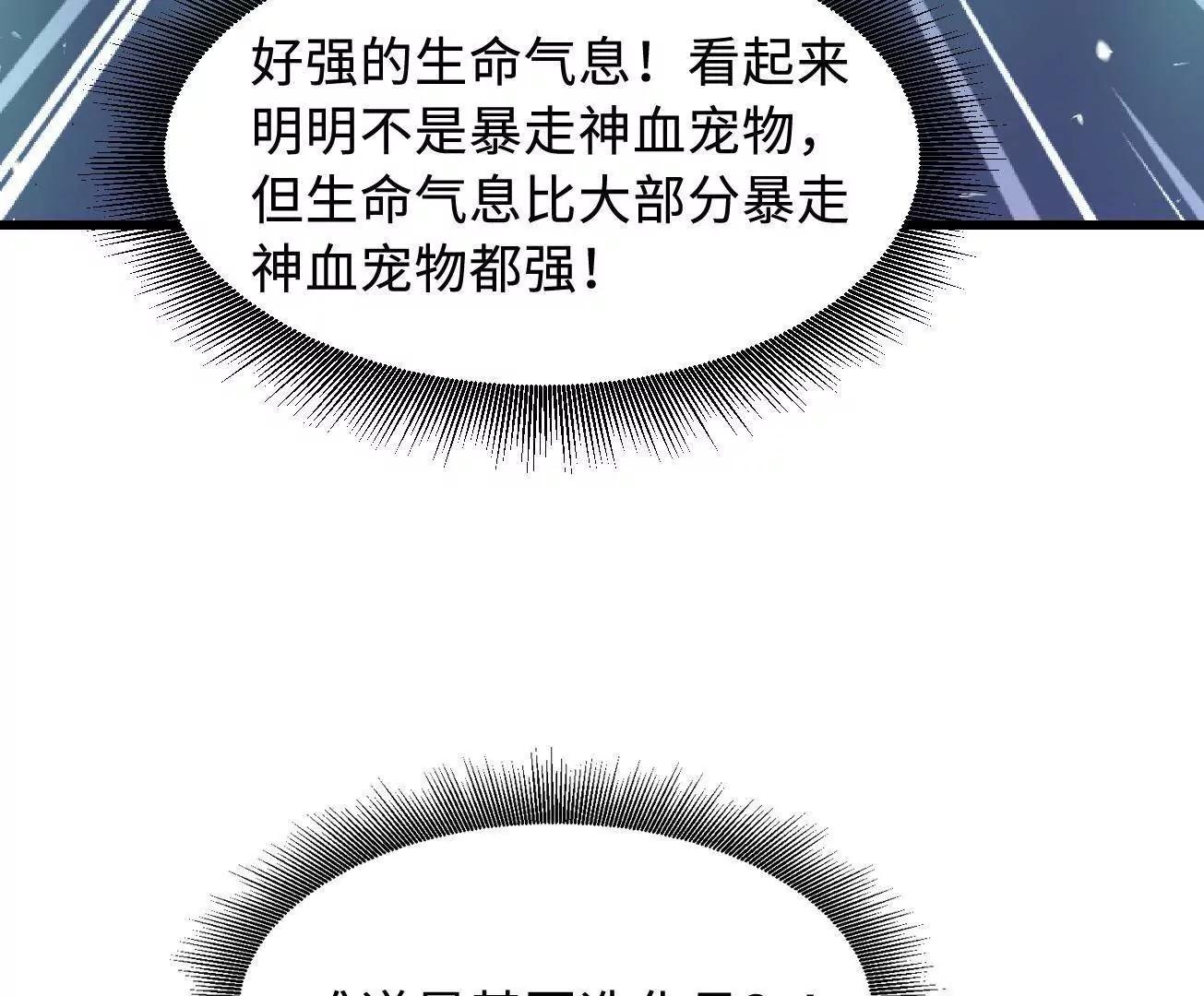 332 宠物丹19
