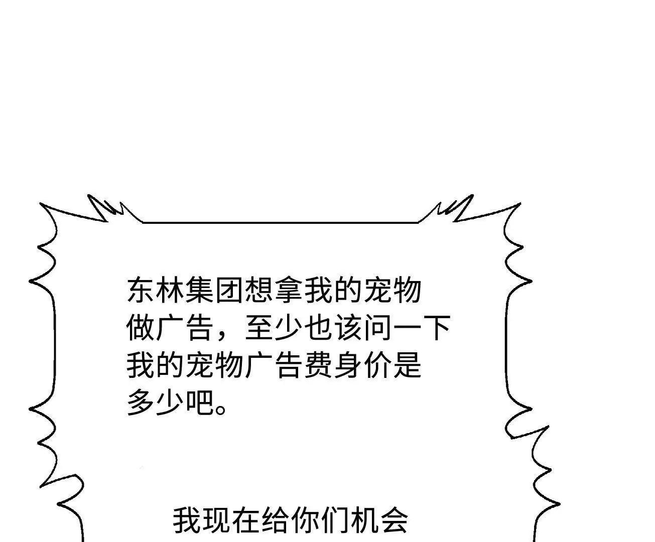 332 宠物丹46