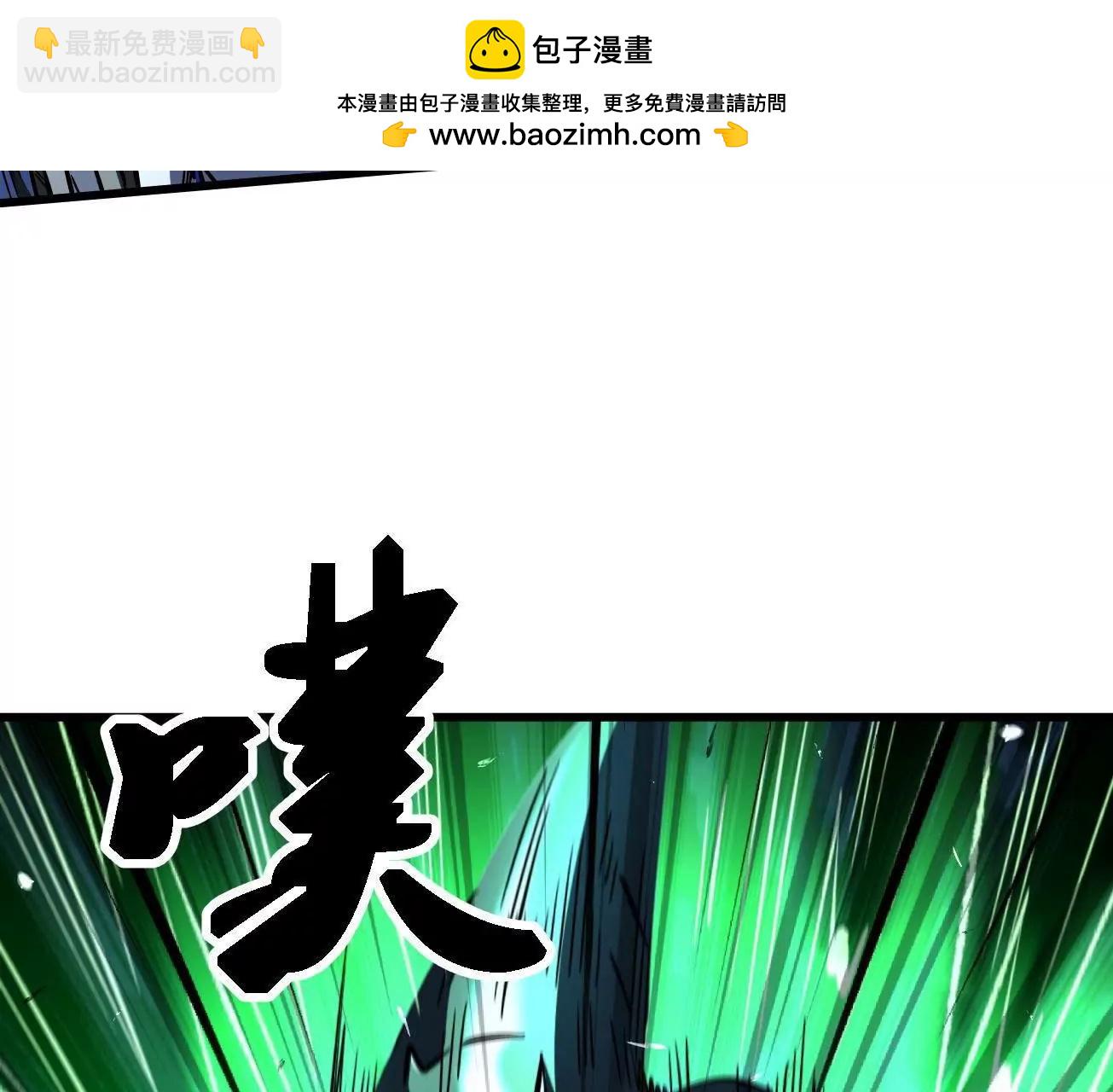 332 宠物丹66