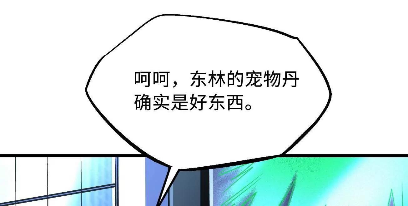 332 宠物丹71