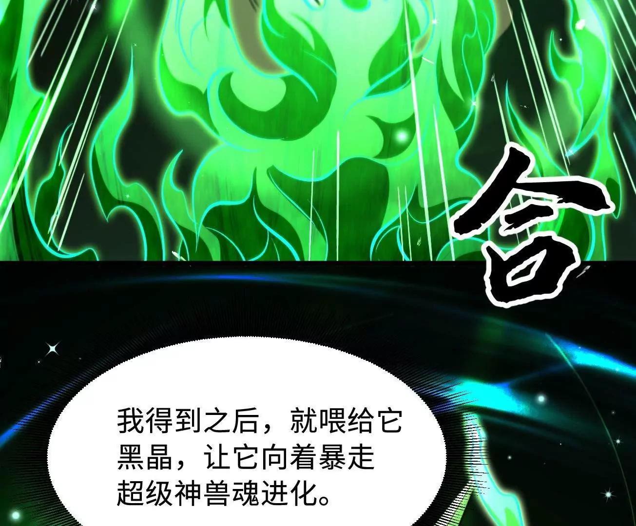 332 宠物丹98