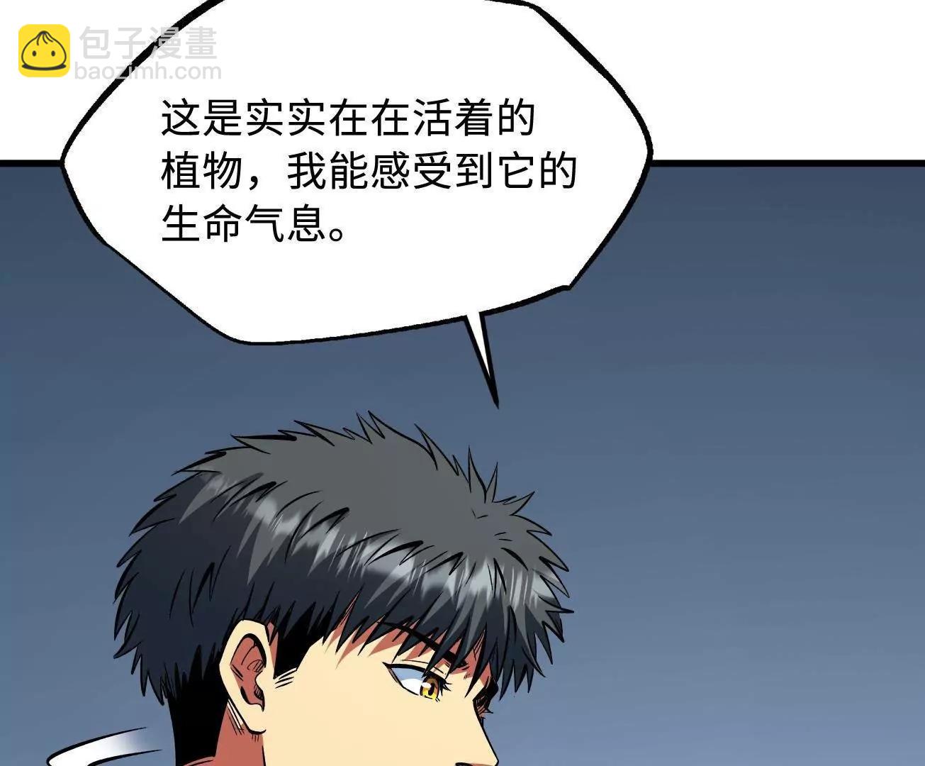 333 	翡翠黄金树109
