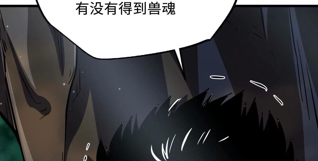 341 	兽魂去哪里92