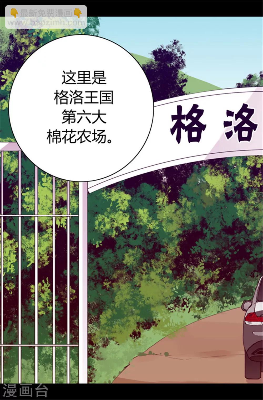 第50话 棉花农场的意外收获9