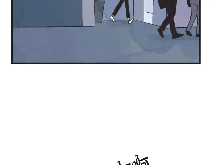 9话 在c市生活的a女士2114