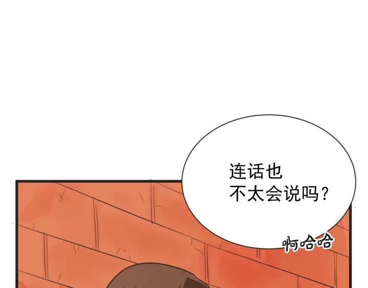 9话 在c市生活的a女士246