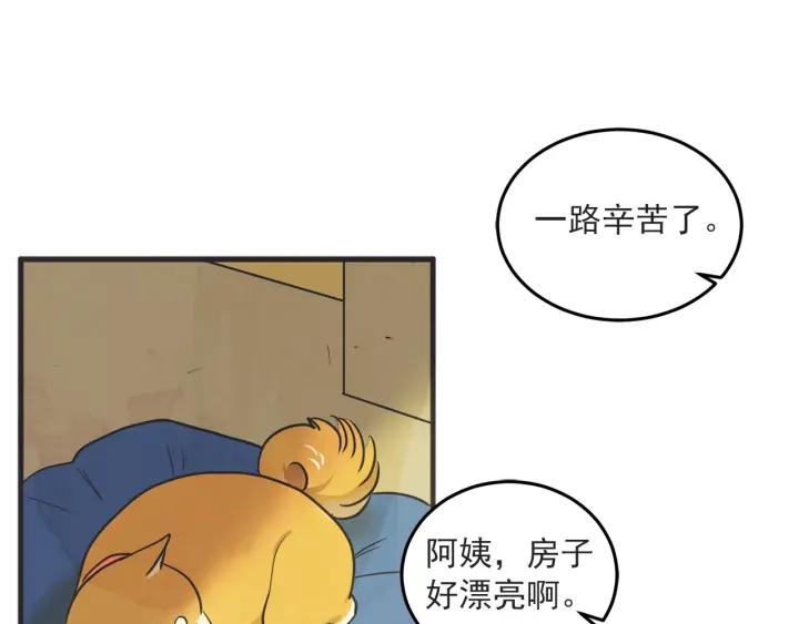 37话 幻想之岛71