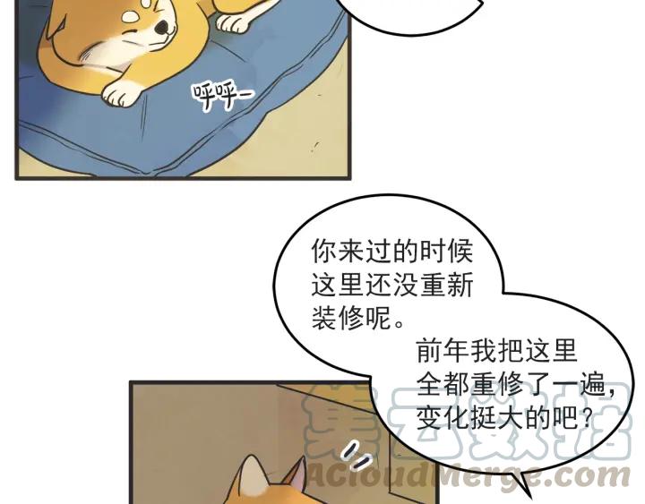 37话 幻想之岛72