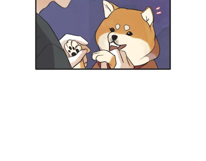 39话 冲浪者（2）30