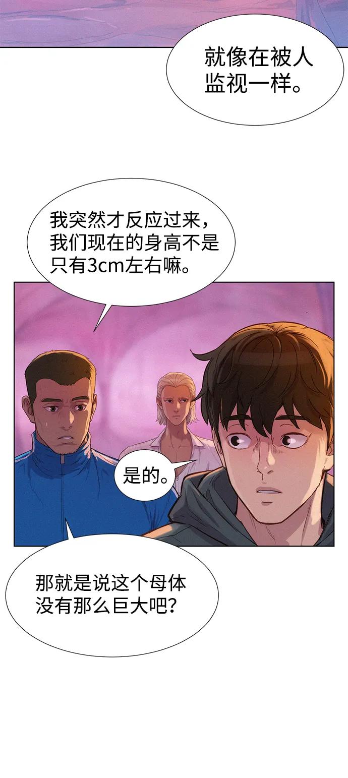 第104话5
