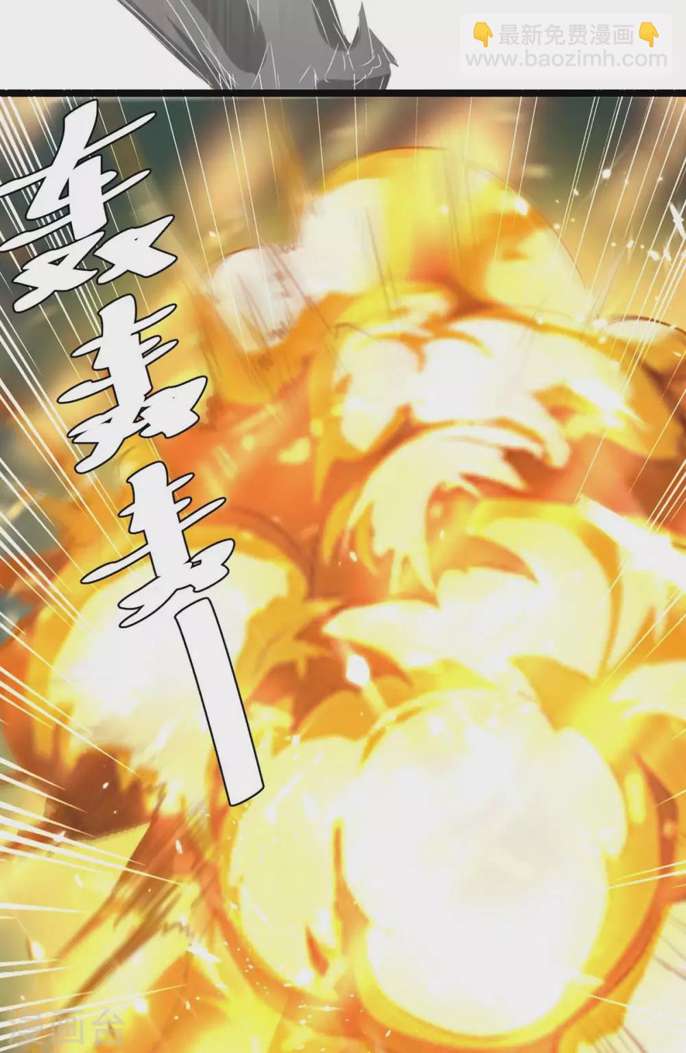 第186话 玄狮毙命27