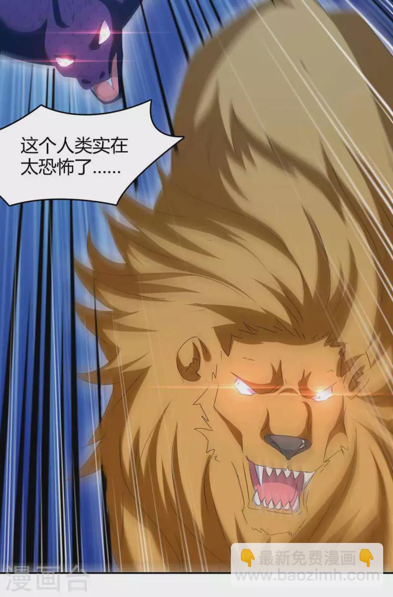 第254话 陨星神光现1