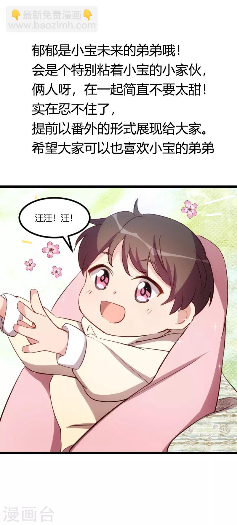 第150话 番外篇：小宝的弟弟14