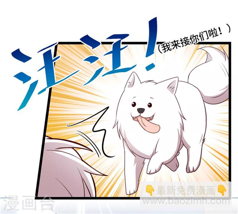 第233话 关门放狗20