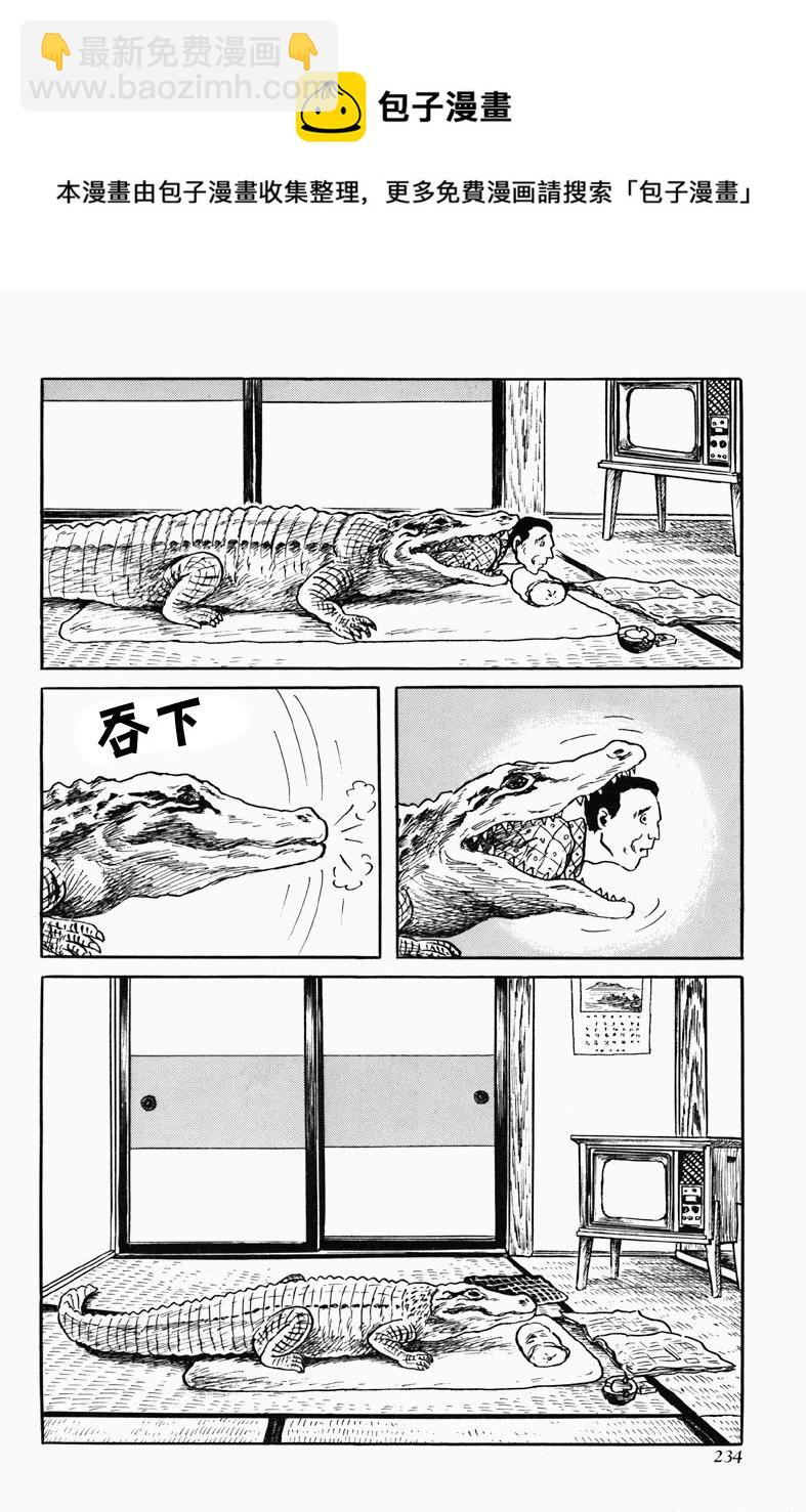 短吻鳄10