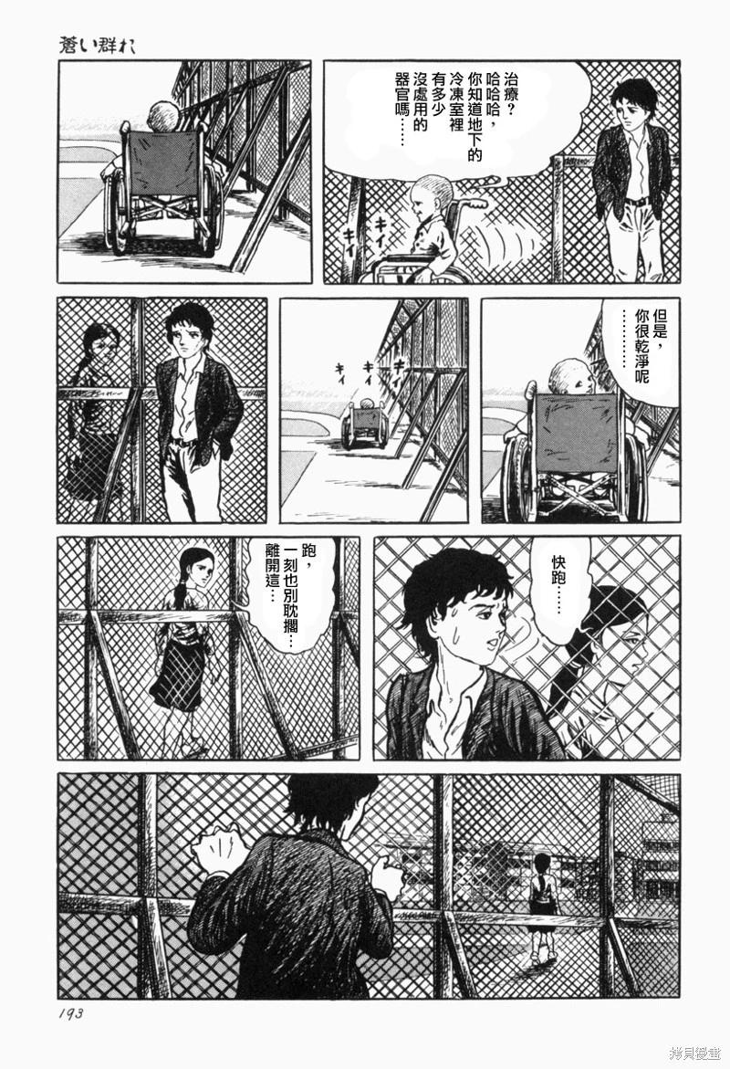 苍白群像14