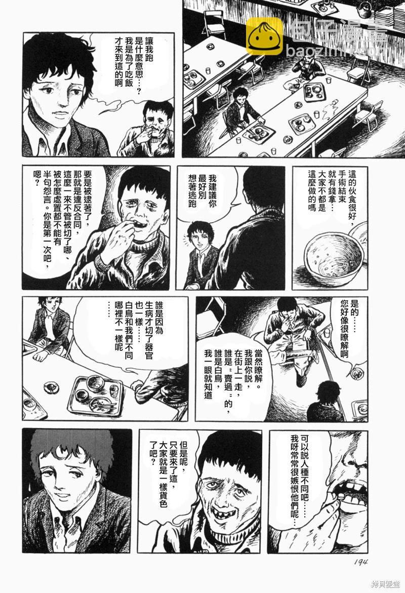 苍白群像15