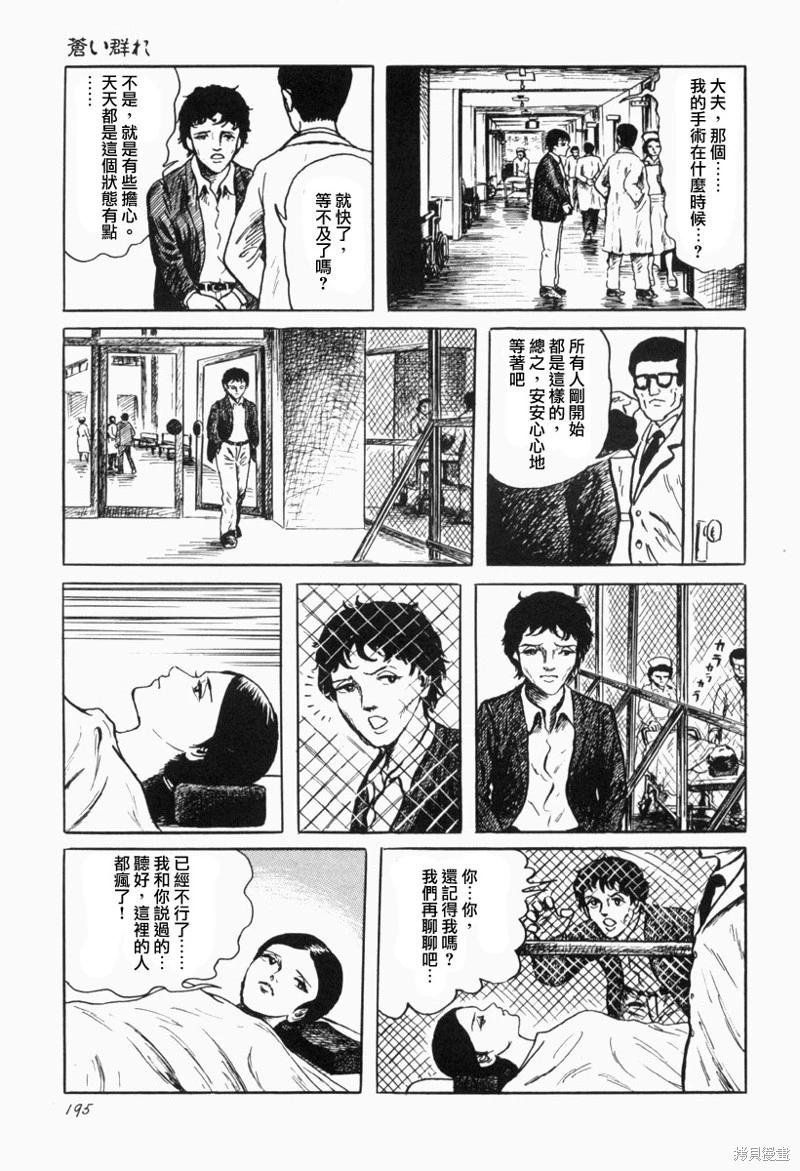 苍白群像16