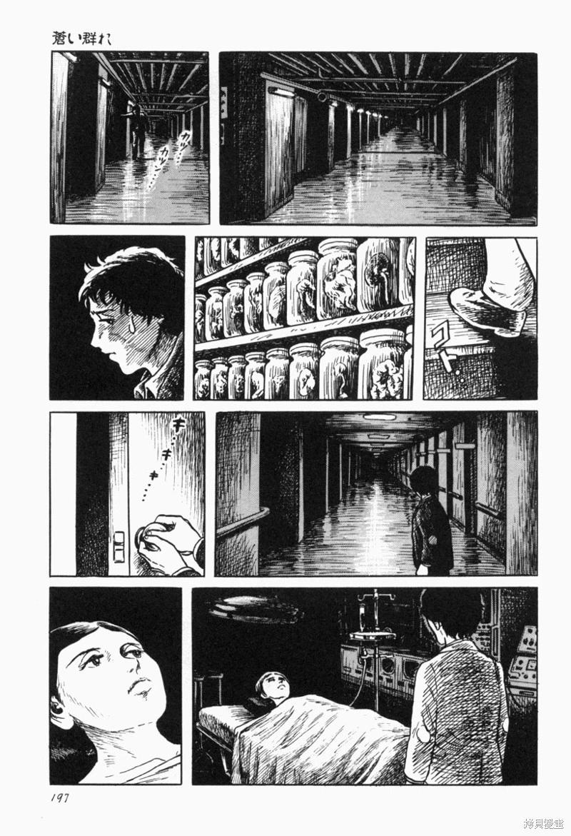 苍白群像18