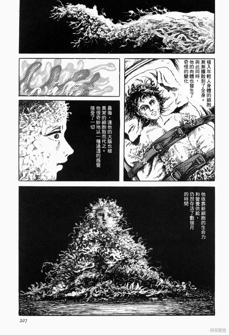 苍白群像28