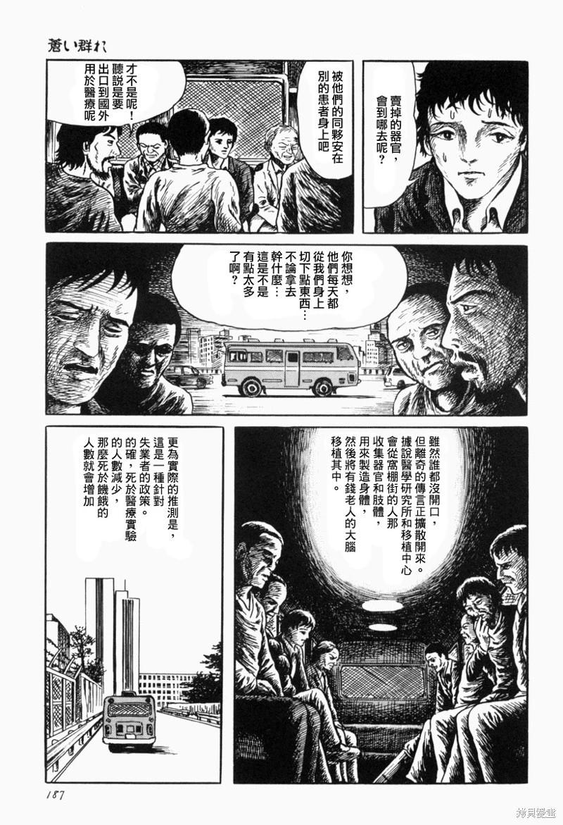 苍白群像8