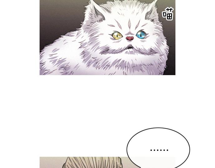 第47话 消失的Mr.李35