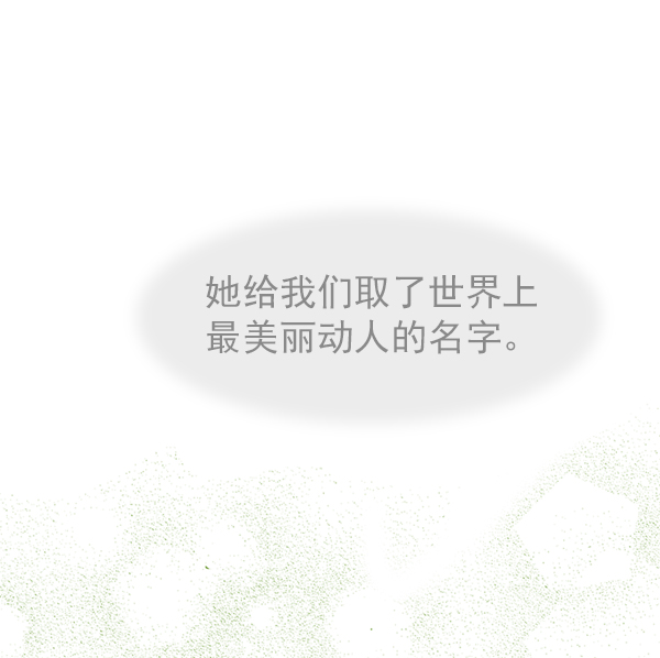 第27话22