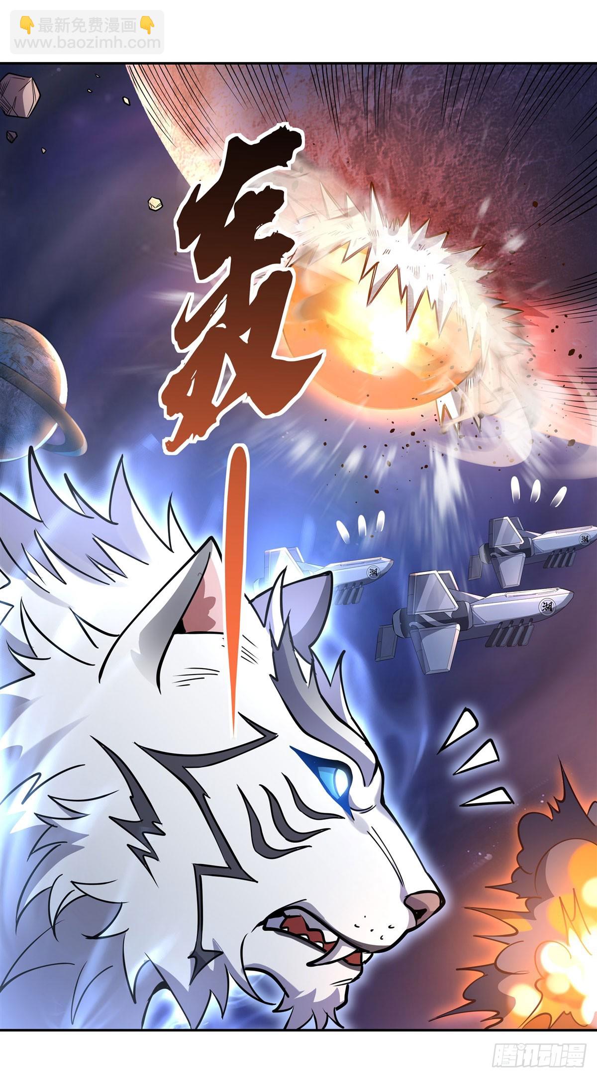 第135话 圣师武装32
