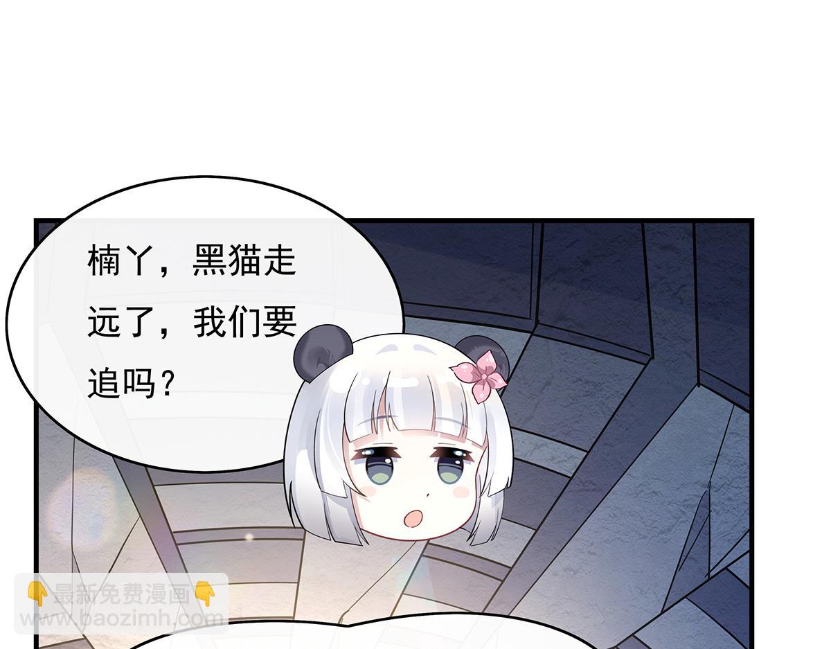 第260话 不管白猫黑猫都是好猫127