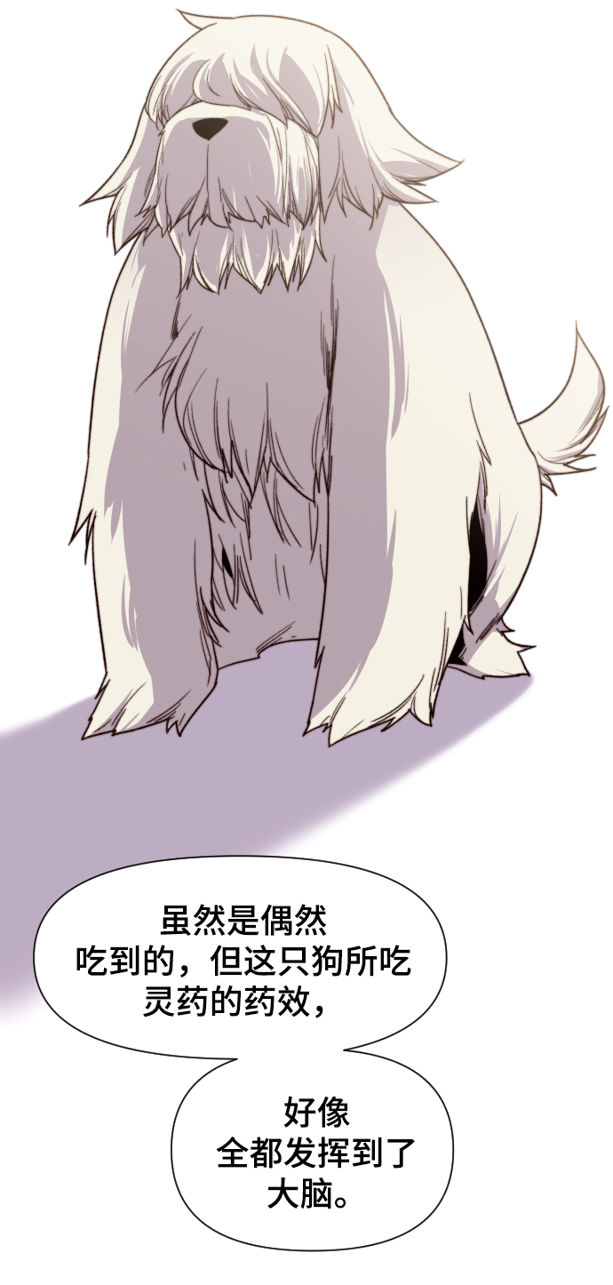 第100话66
