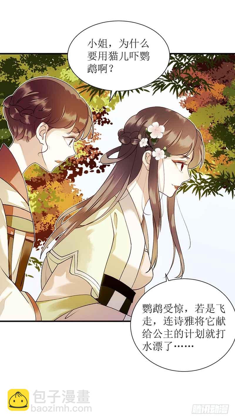 第45话 鹦鹉丢了11