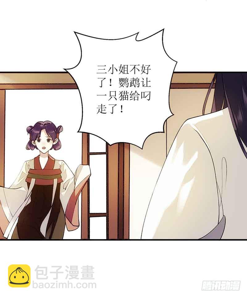 第45话 鹦鹉丢了14