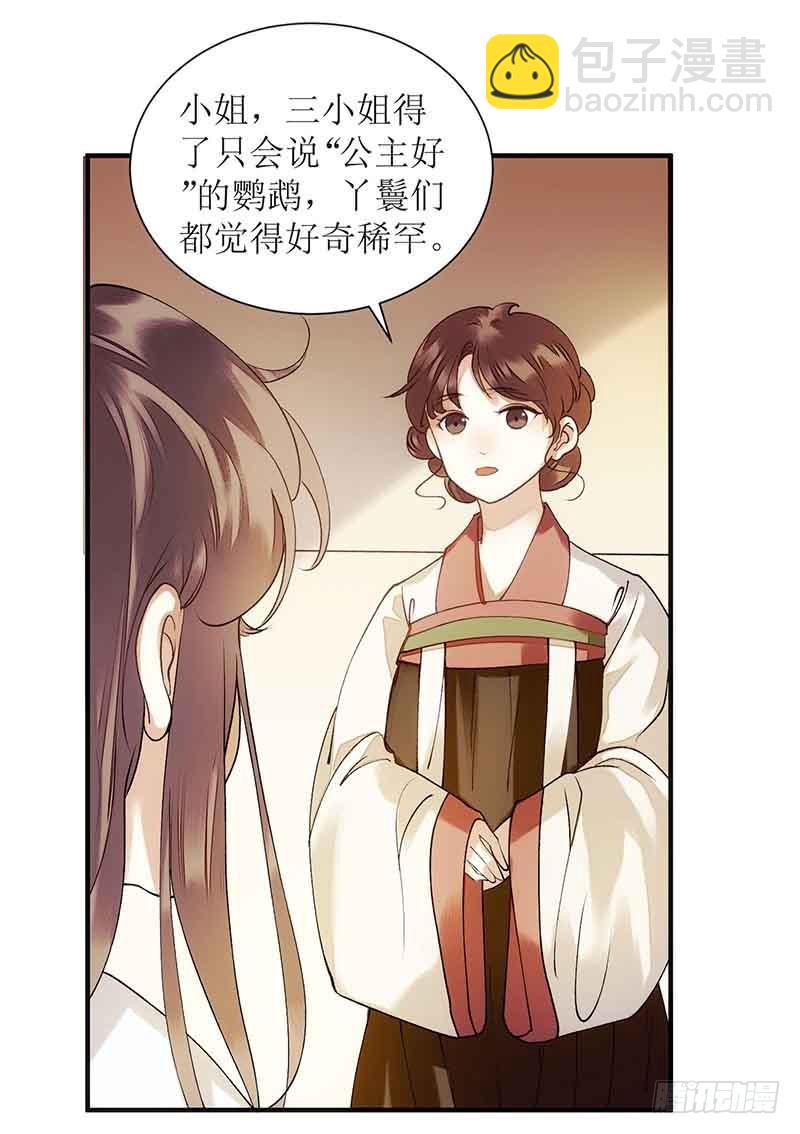 第45话 鹦鹉丢了2
