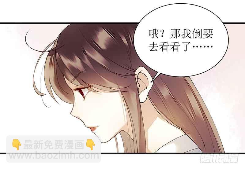 第45话 鹦鹉丢了3