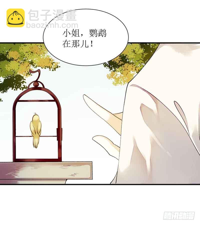 第45话 鹦鹉丢了6
