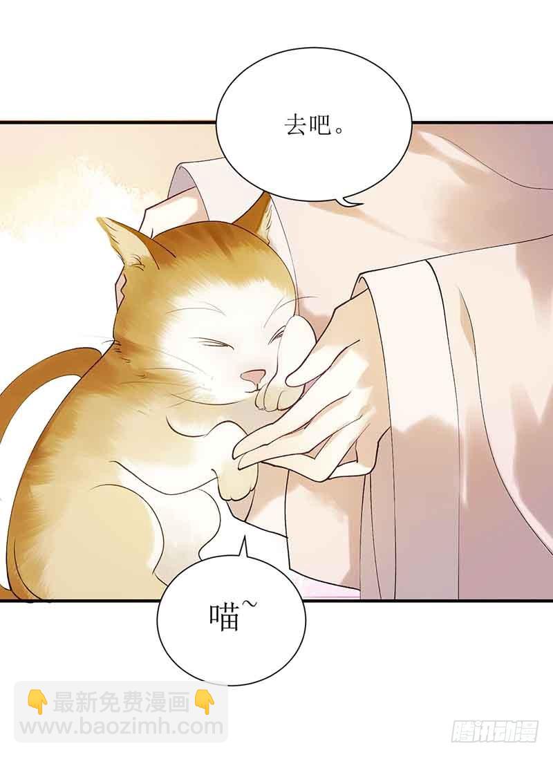 第45话 鹦鹉丢了8