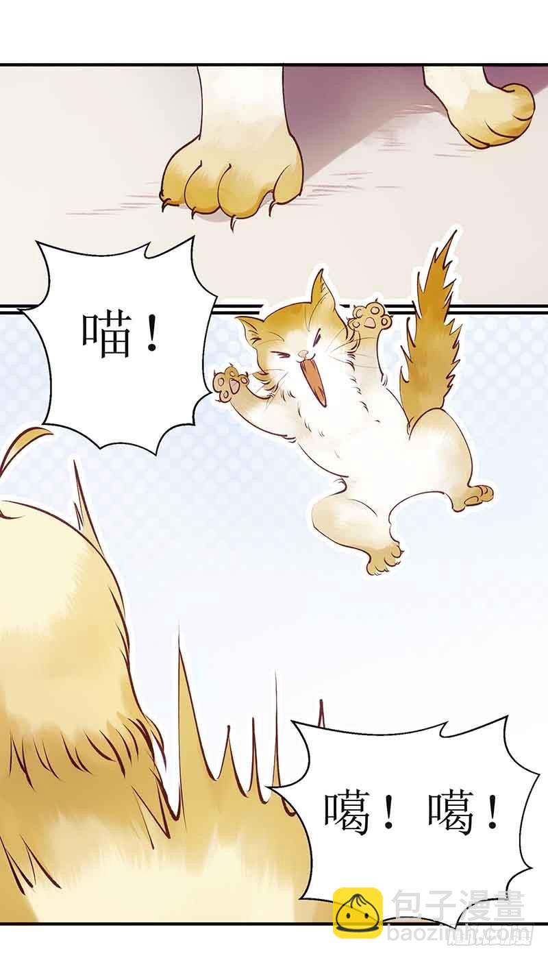 第45话 鹦鹉丢了9