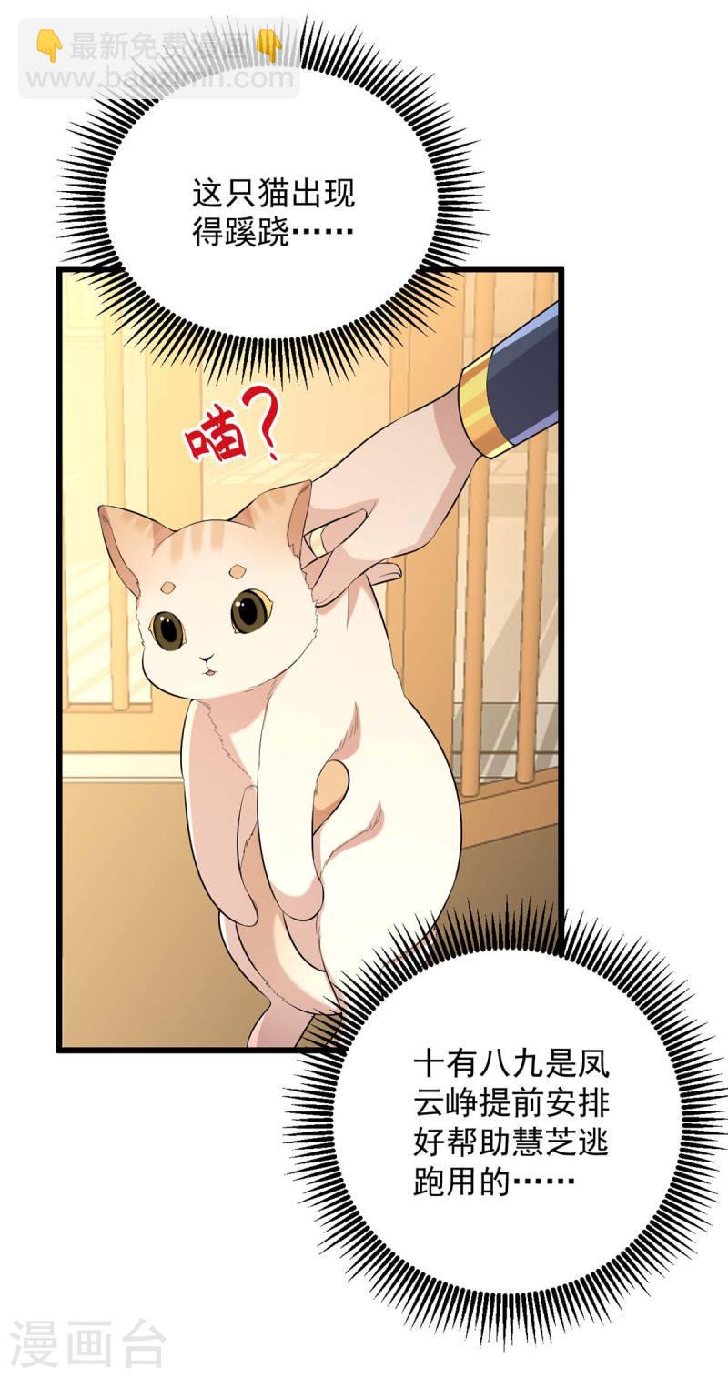 第249话 算无遗策16