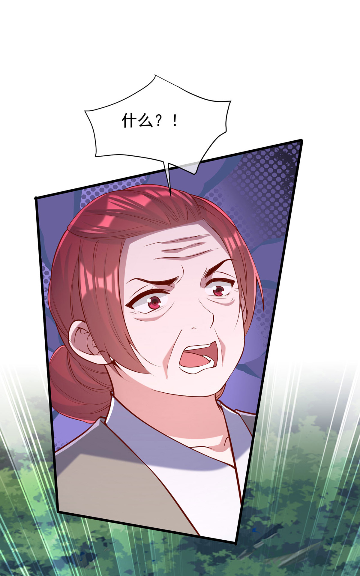 第351话 接下来的计划15