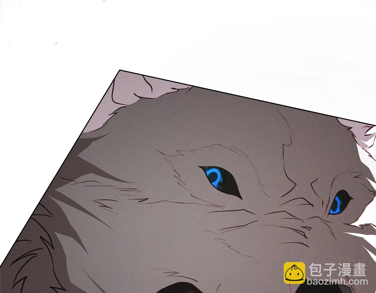 第55话 为了你，我愿意147