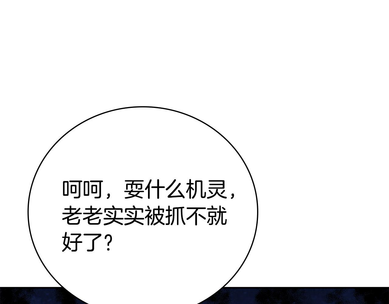 第39话 精灵少女177