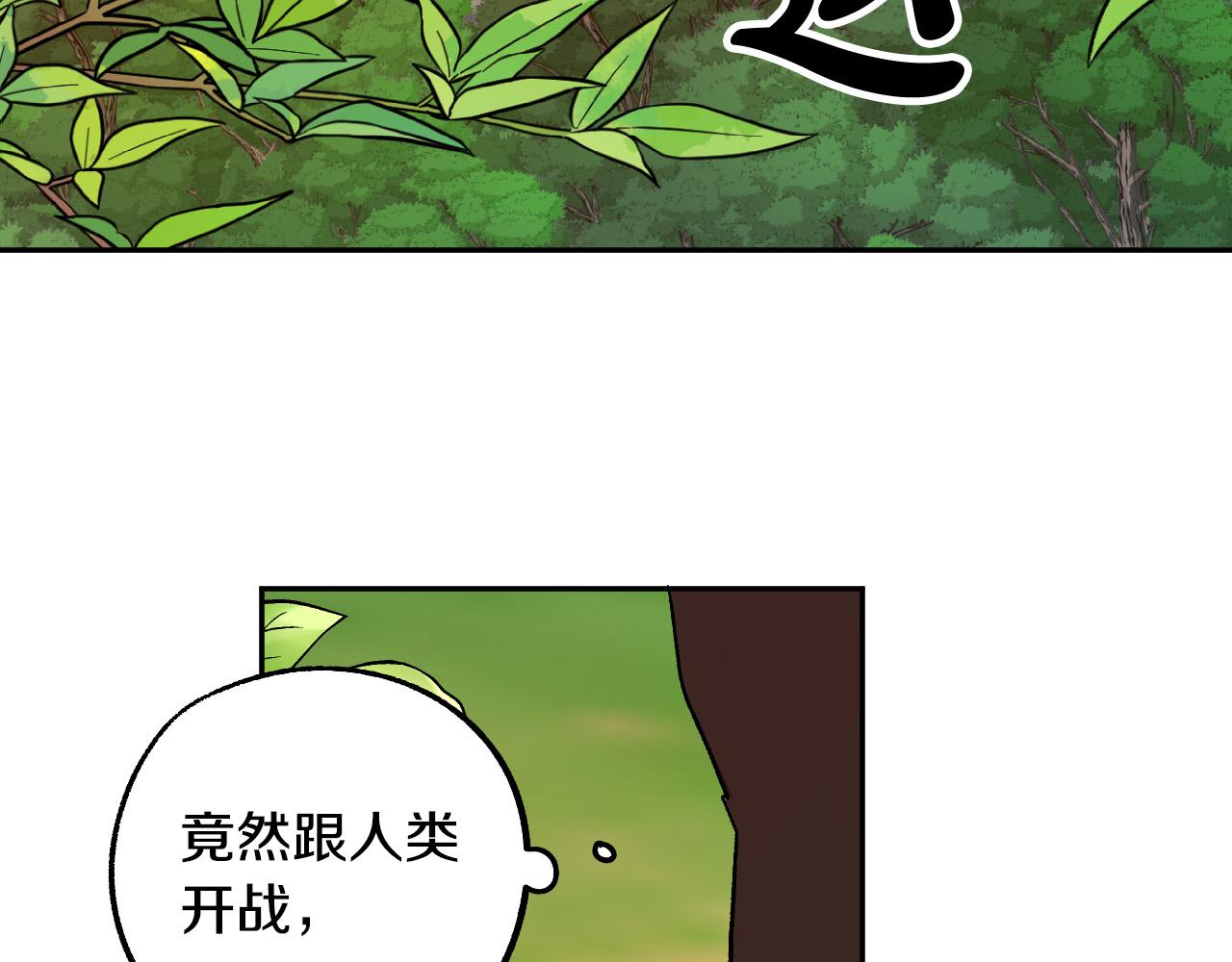 第31话 全面开战1