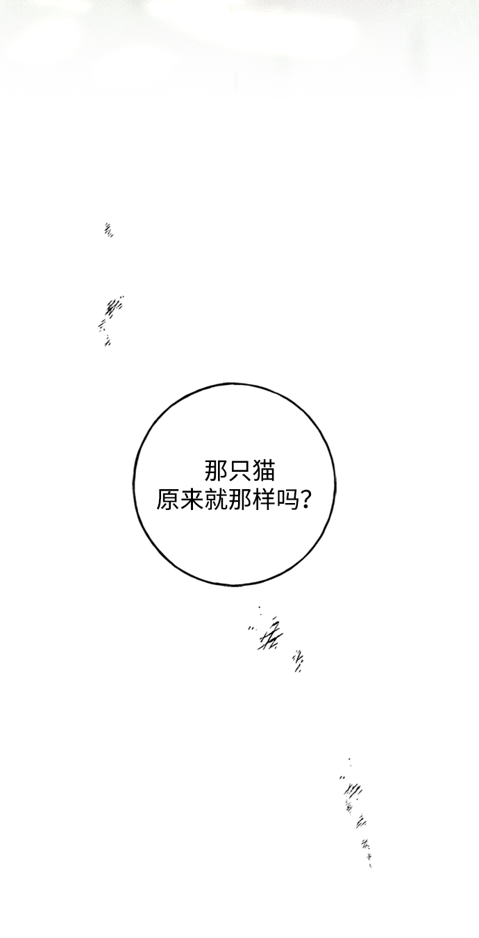 [第31话] 路易莎的秘密15