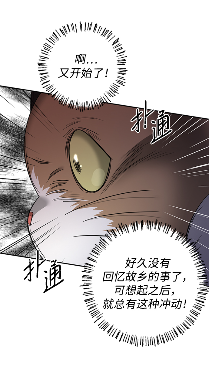 [第31话] 路易莎的秘密38