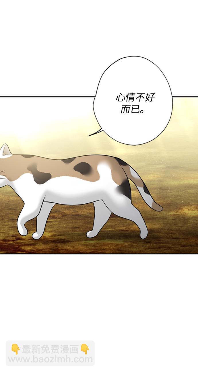 [第31话] 路易莎的秘密9