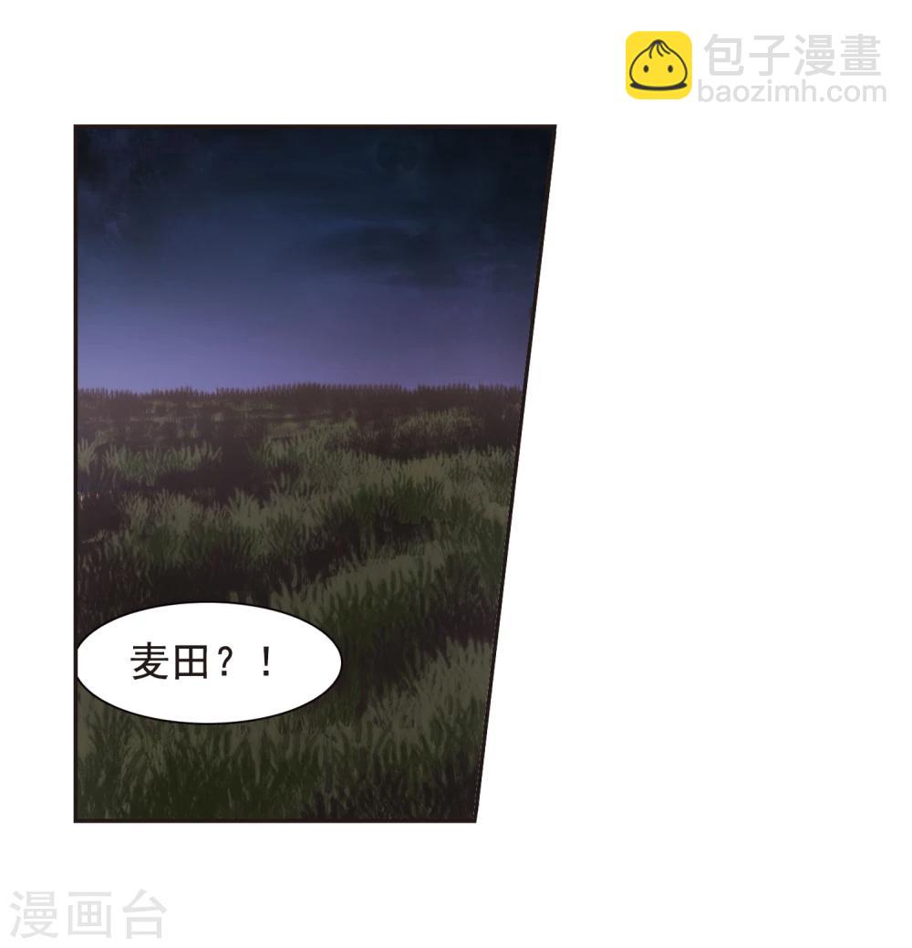 第131话 麦田结界314