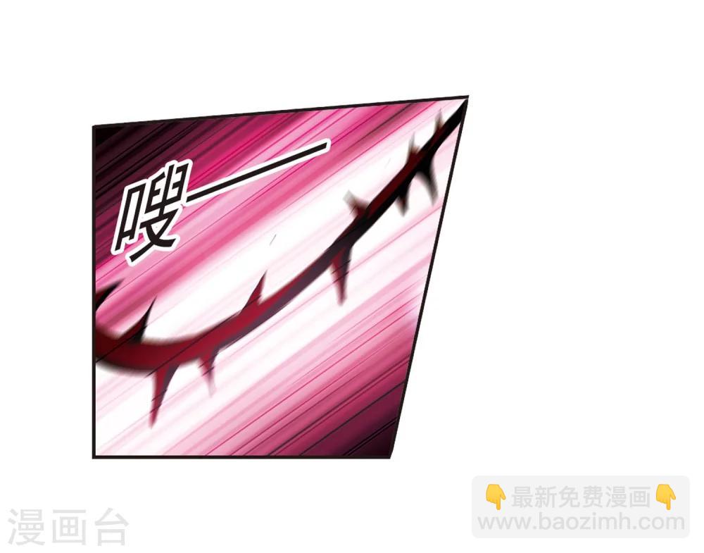 第219话 战斗开始14