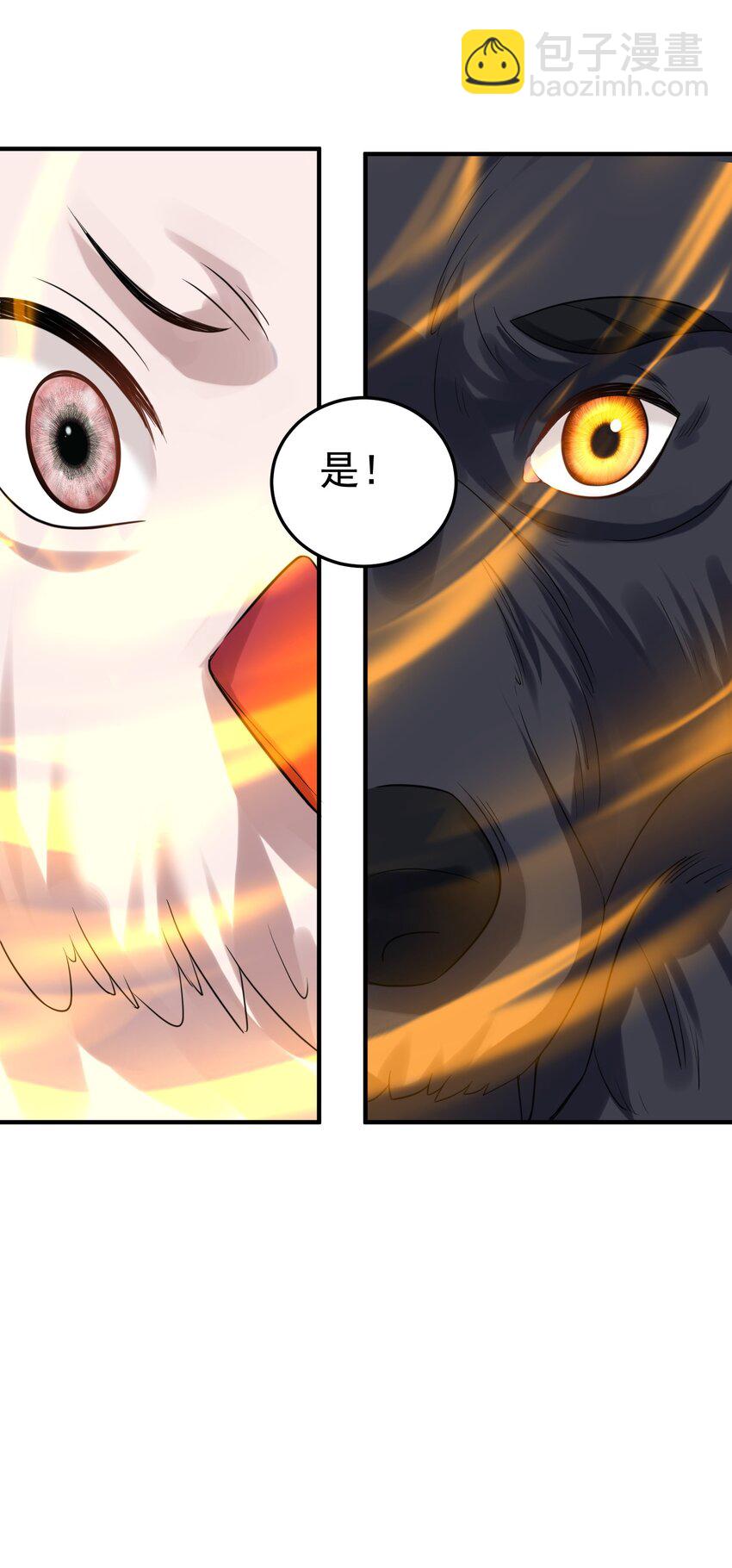 099 龙？凤？14