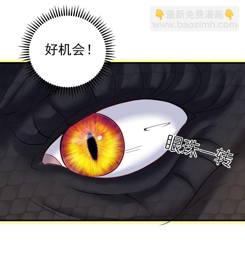 099 龙？凤？21